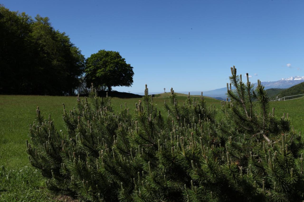 Baita Tana Da L'Ors Forgaria nel Friuli Extérieur photo